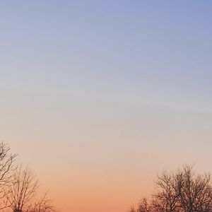 Meet your Posher, Lydia